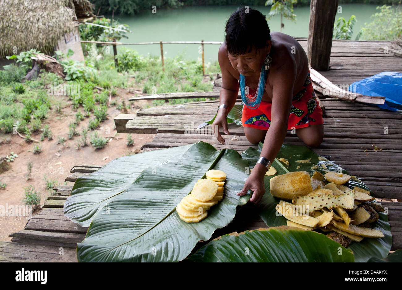 Embera indian woman cutting pineapples at the Embera Puru village, Rio Pequeni, Republic of Panama, Central America. Stock Photo