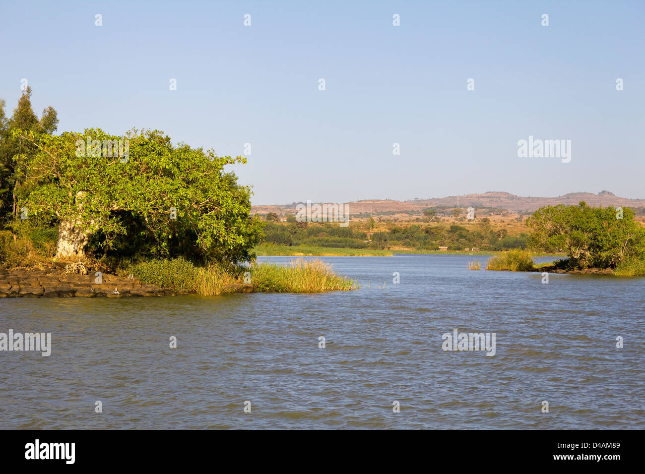 The source of the Blue Nile, Lake Tana, Ethiopia Stock Photo Alamy
