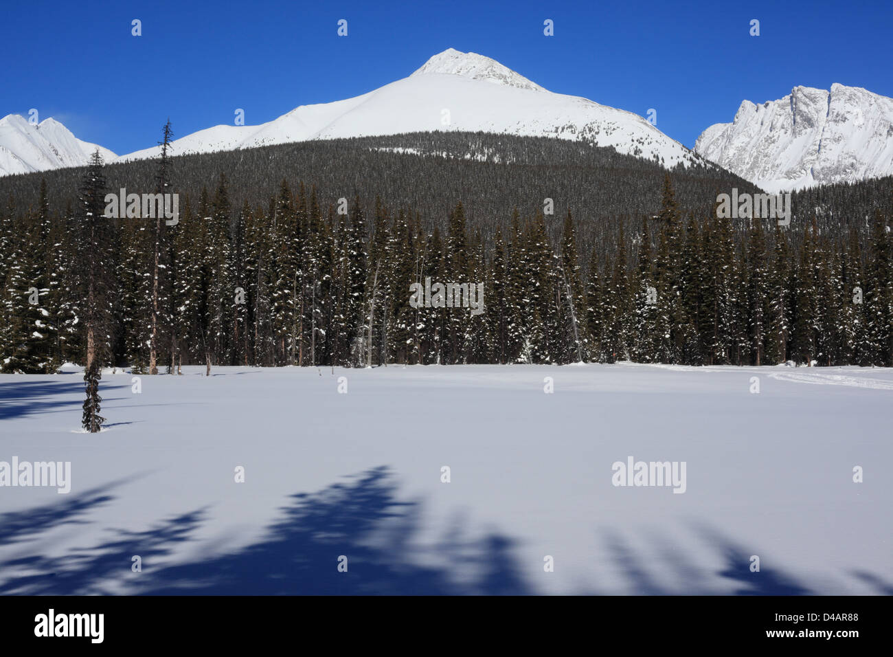 Kananaskis at Burstall Pass (Alberta, Canada Stock Photo Alamy