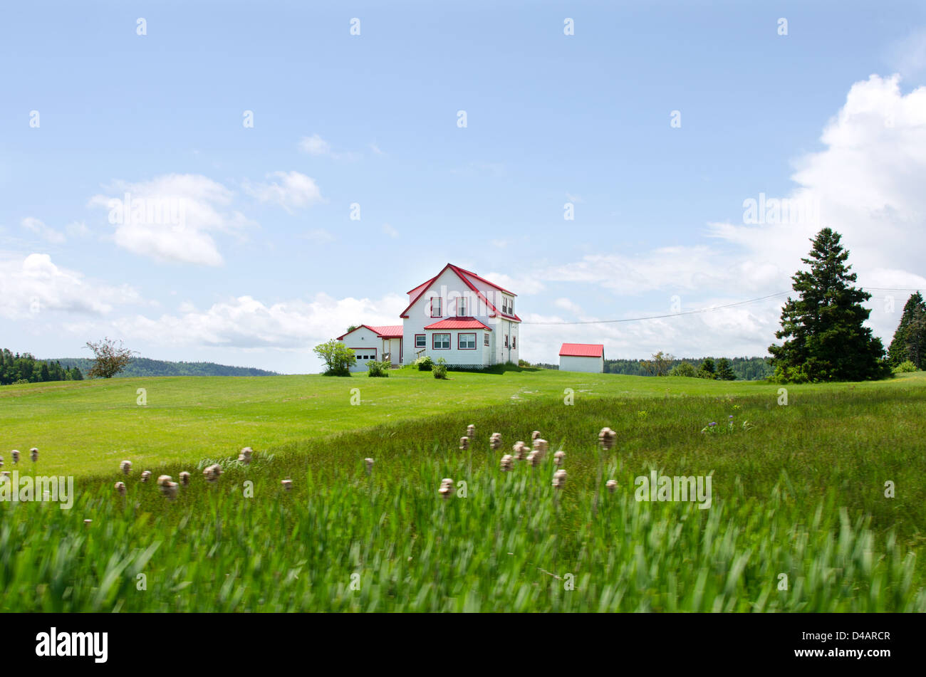 The saturated colors of the landscape give a surreal air to an isolated farmhouse on Campobello Island, Canada. Stock Photo