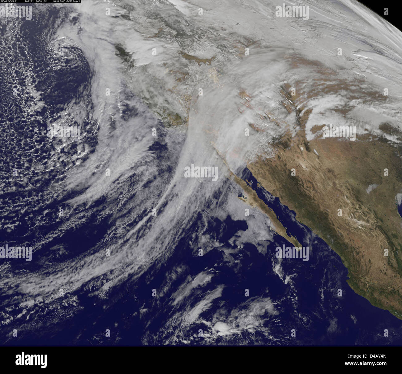 Pineapple express hires stock photography and images Alamy