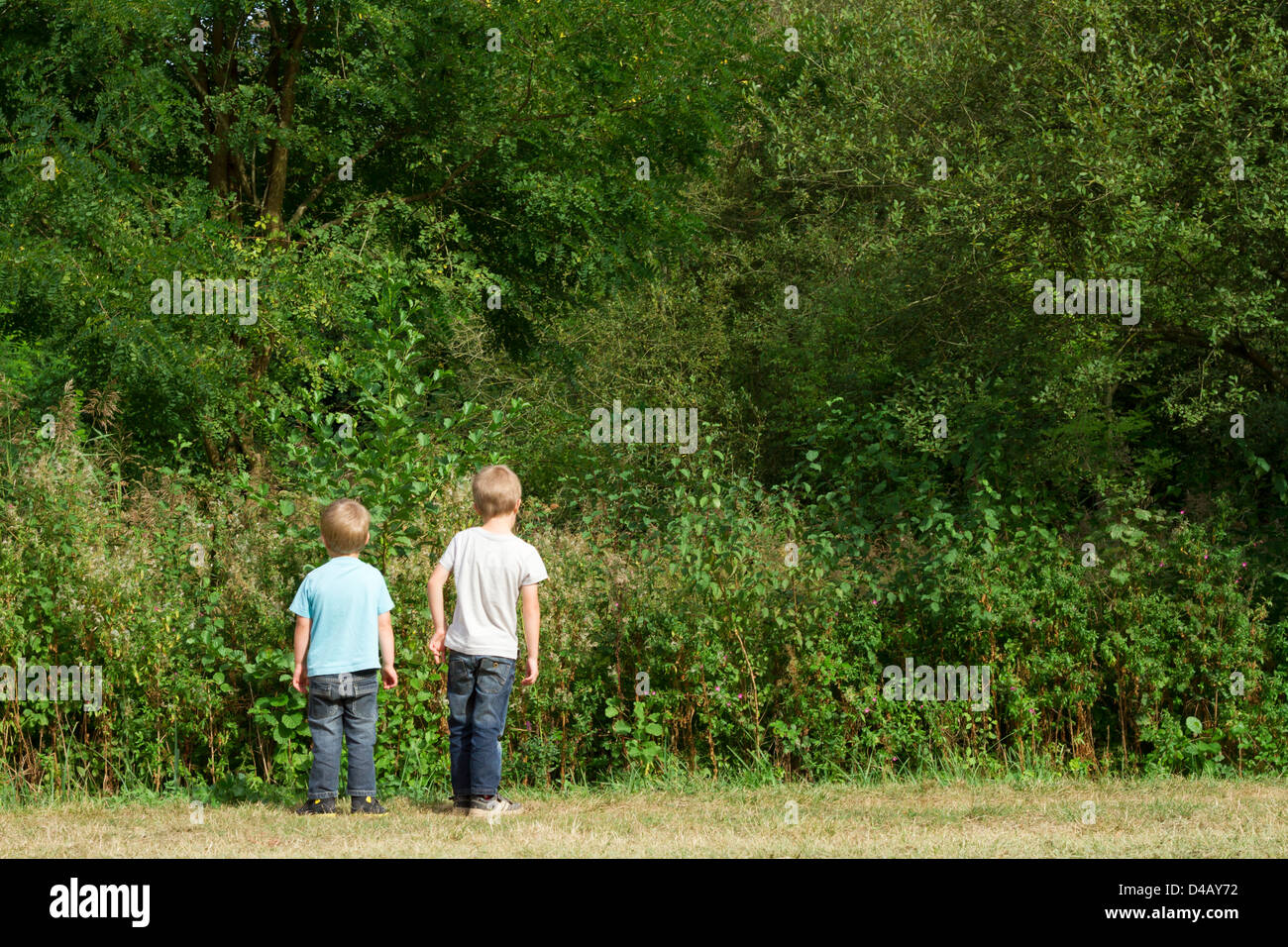 Two boys (4-7) looking at dense forest. Stock Photo