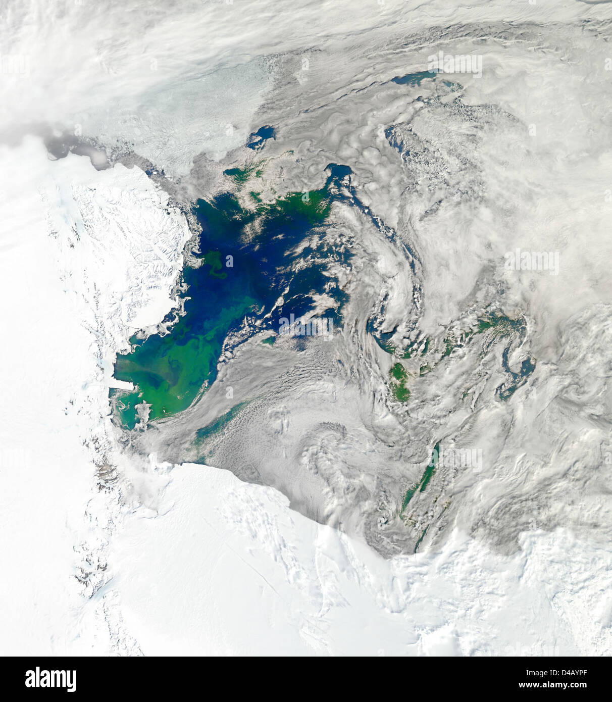 Phytoplankton blooms in the ocean hires stock photography and images