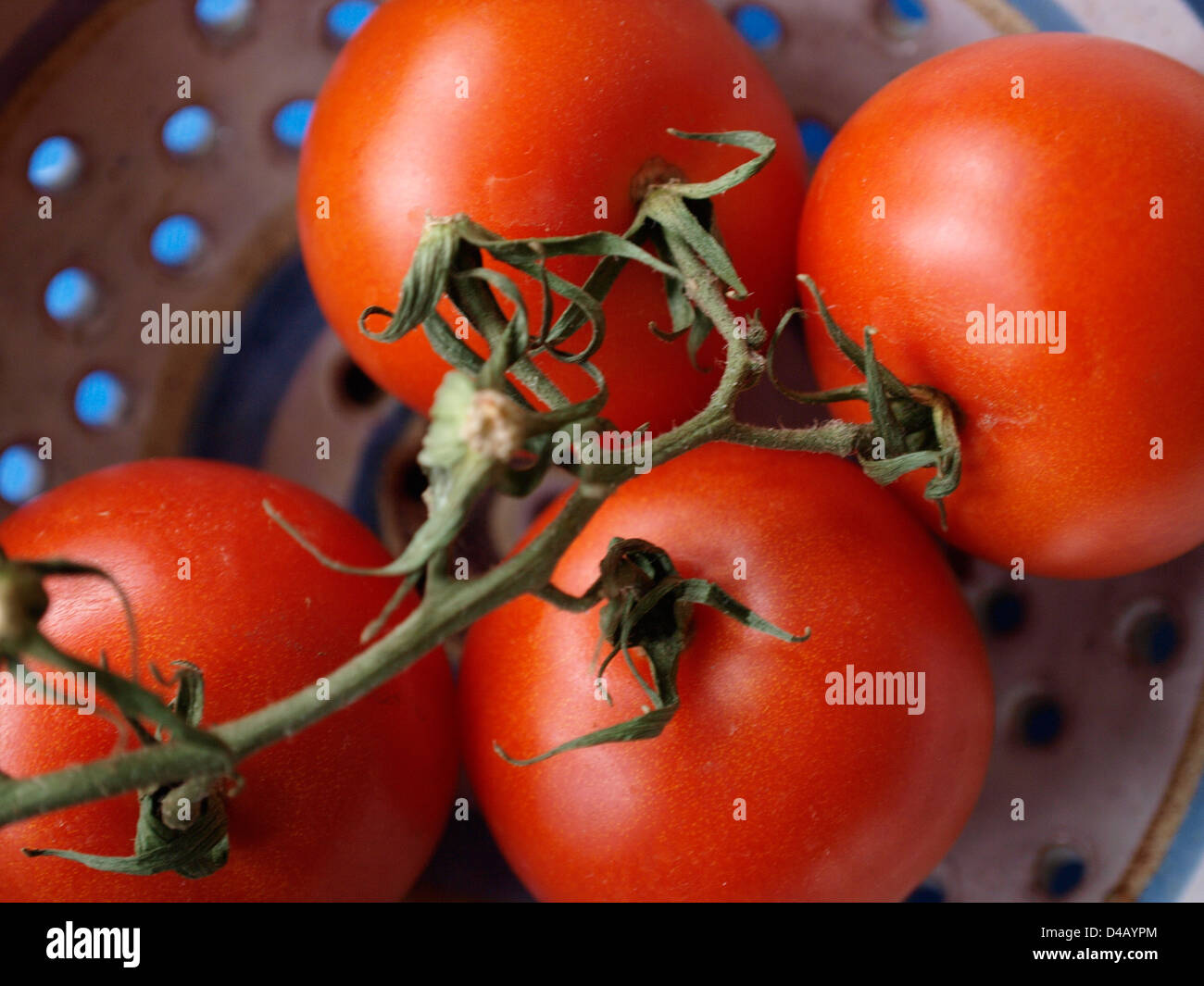 4 tomatoes in close up hi-res stock photography and images - Alamy