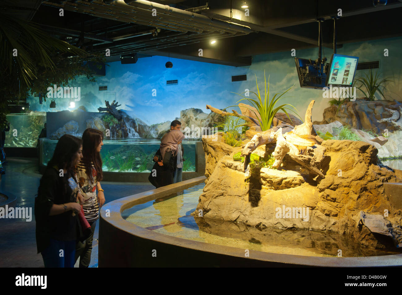 Türkei, Istanbul, Bayrampasa, Turkuazoo Aquarium im Shoppingcenter Forum Istanbul Stock Photo