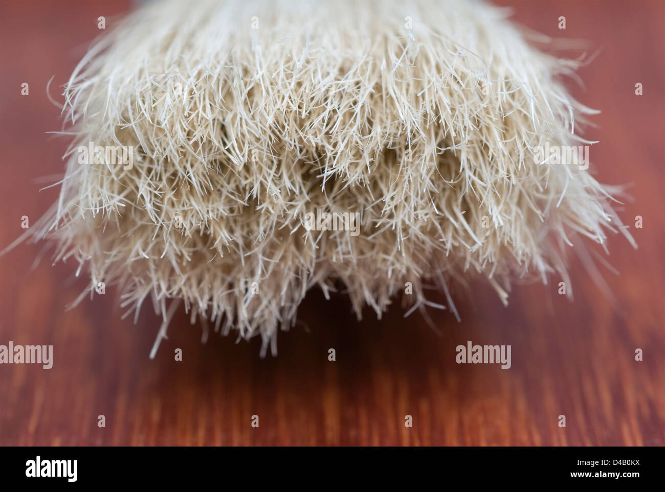 paint brush hair Stock Photo Alamy