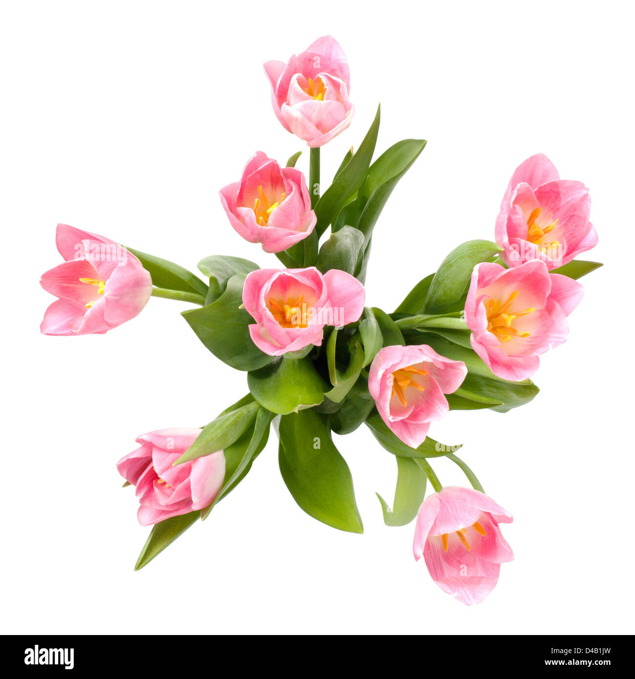 Bouquet of tulips, top view Stock Photo Alamy