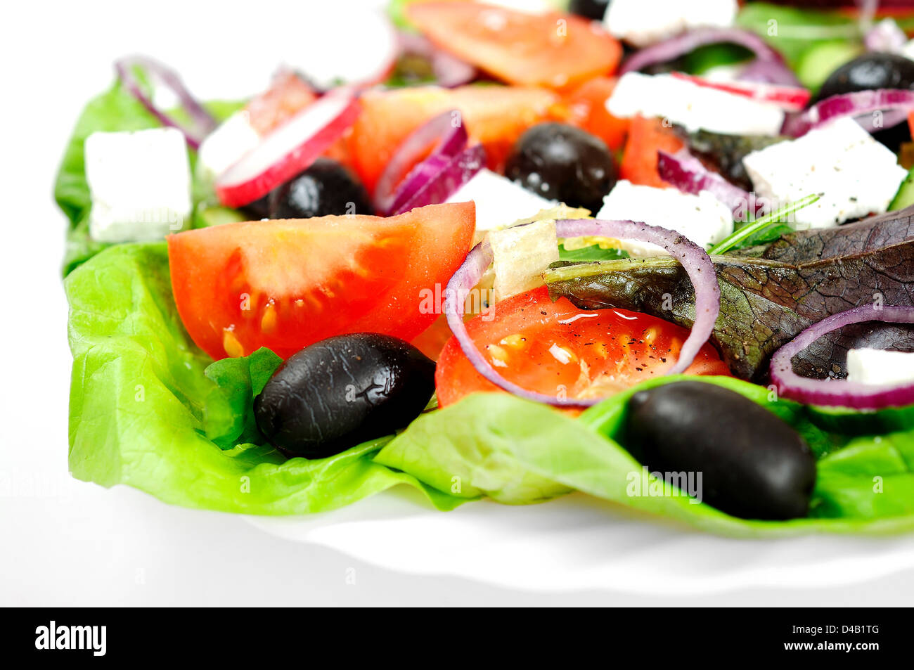 Plate lettuce colour background hi-res stock photography and images - Alamy