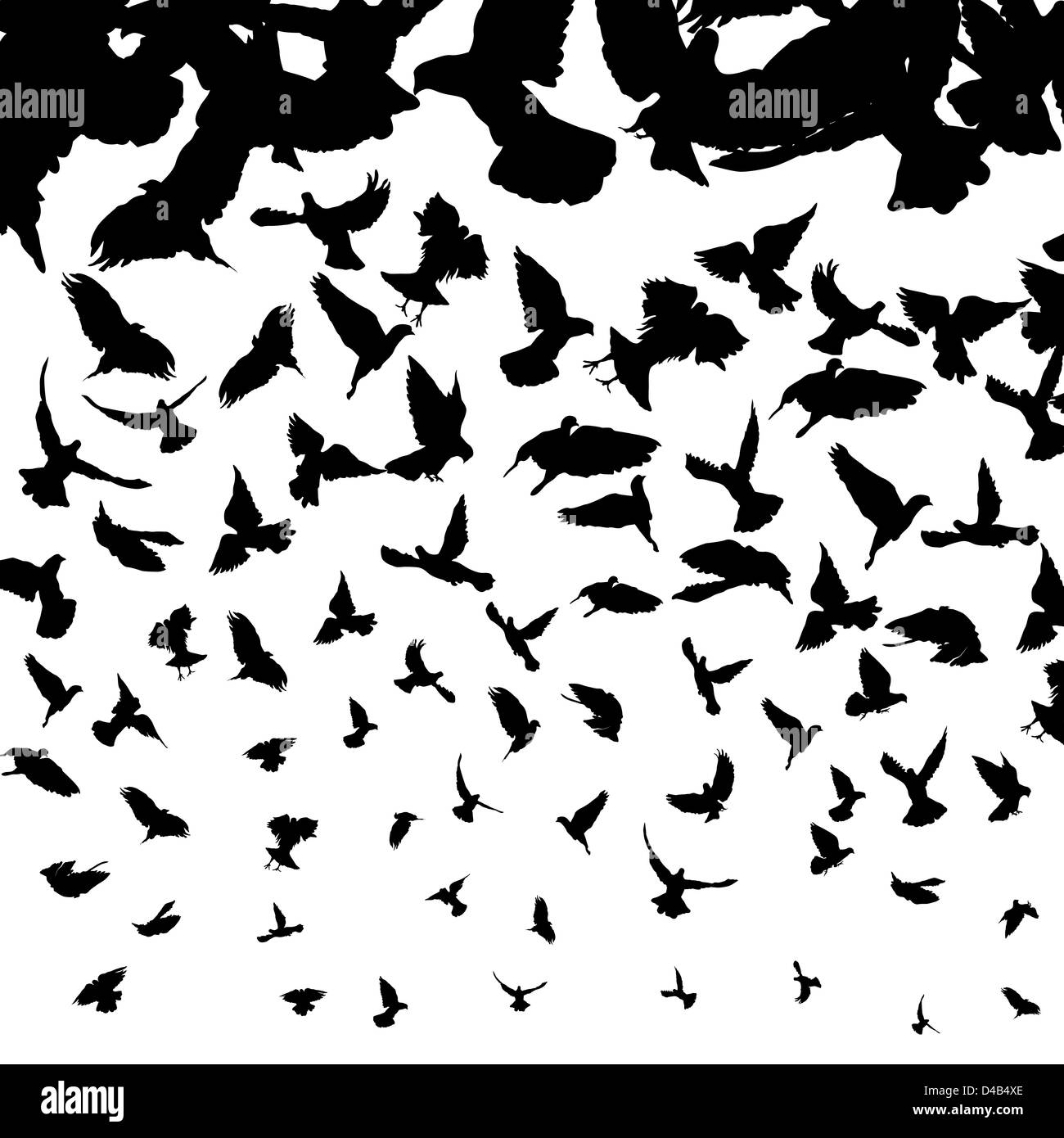Background illustration with flying bird silhouettes Stock Photo - Alamy