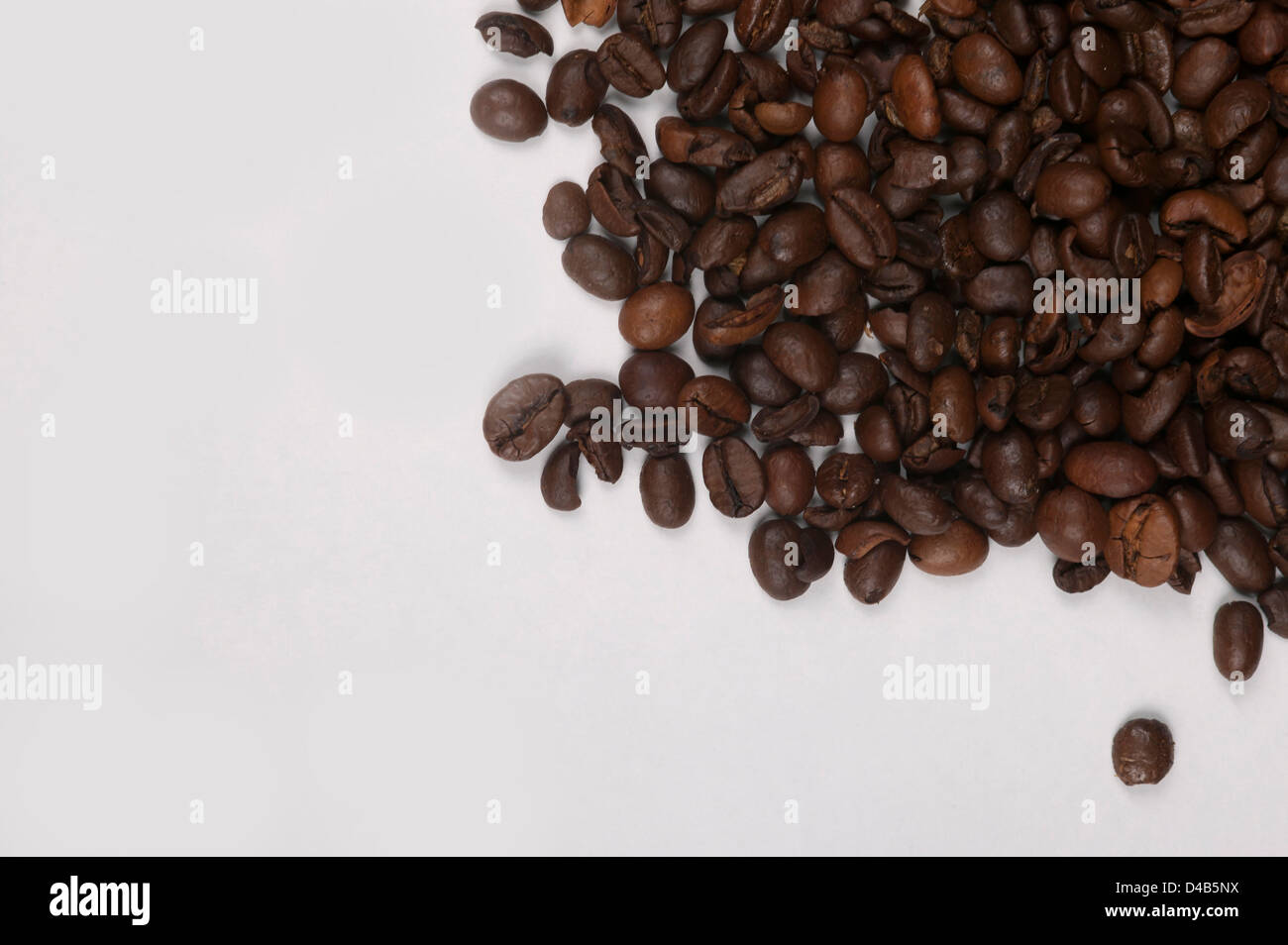 close - up photo of coffee beans isolated on a white background Stock ...