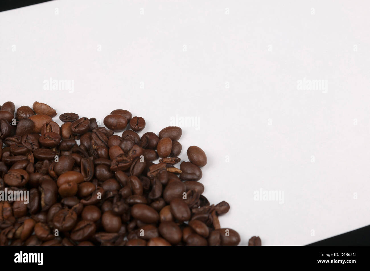 close - up photo of coffee beans isolated on a white background Stock ...