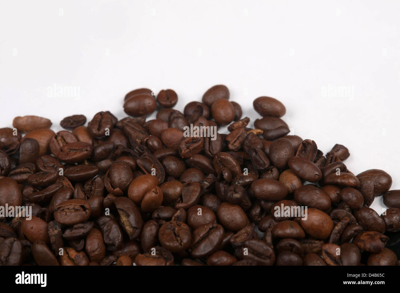 close - up photo of coffee beans isolated on a white background Stock ...