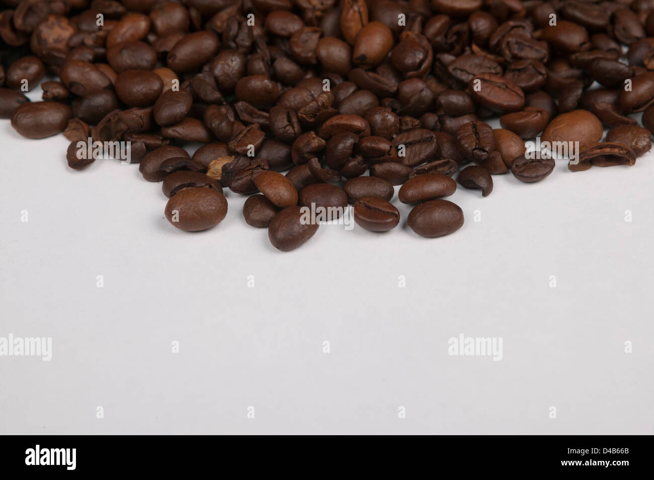 close - up photo of coffee beans isolated on a white background Stock ...