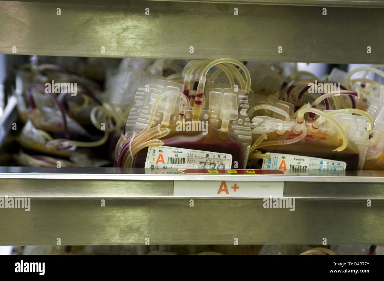 A+ blood contains antib antibodies, A antigen and the presence of the RhD antigen of the Rhesus