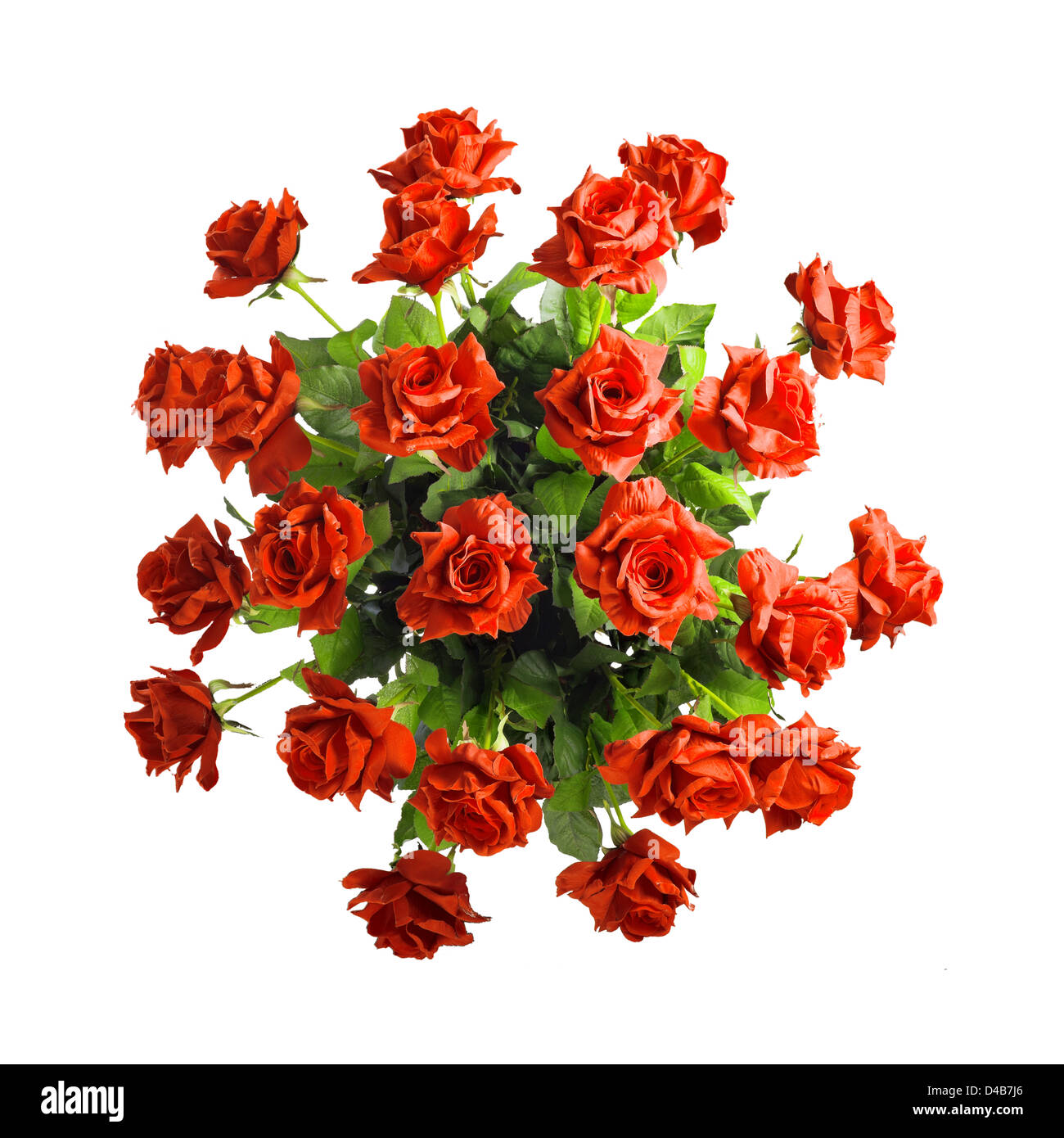 bouquet of red roses isolated on white background Stock Photo - Alamy