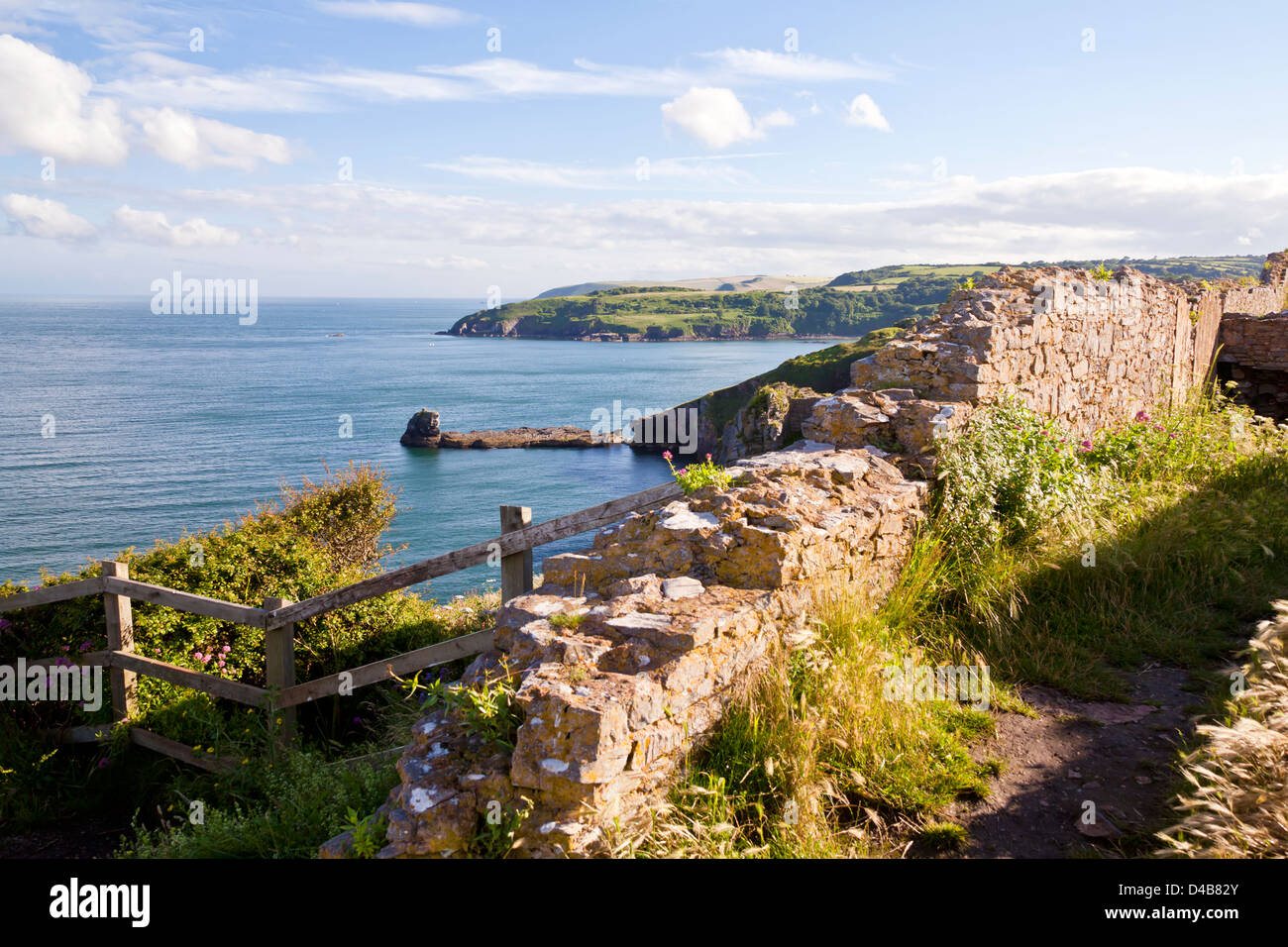 Berry head hi-res stock photography and images - Alamy