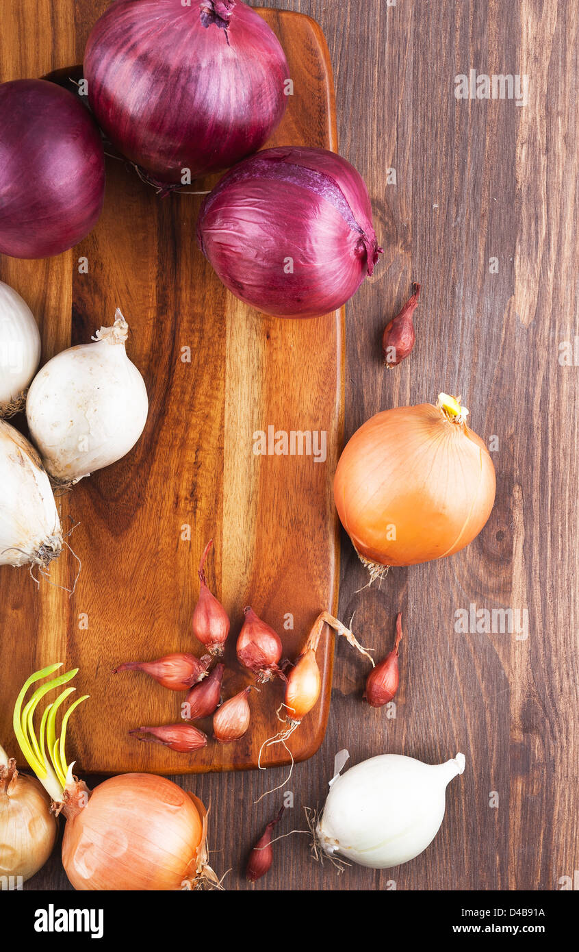 Different varieties of onions Stock Photo Alamy