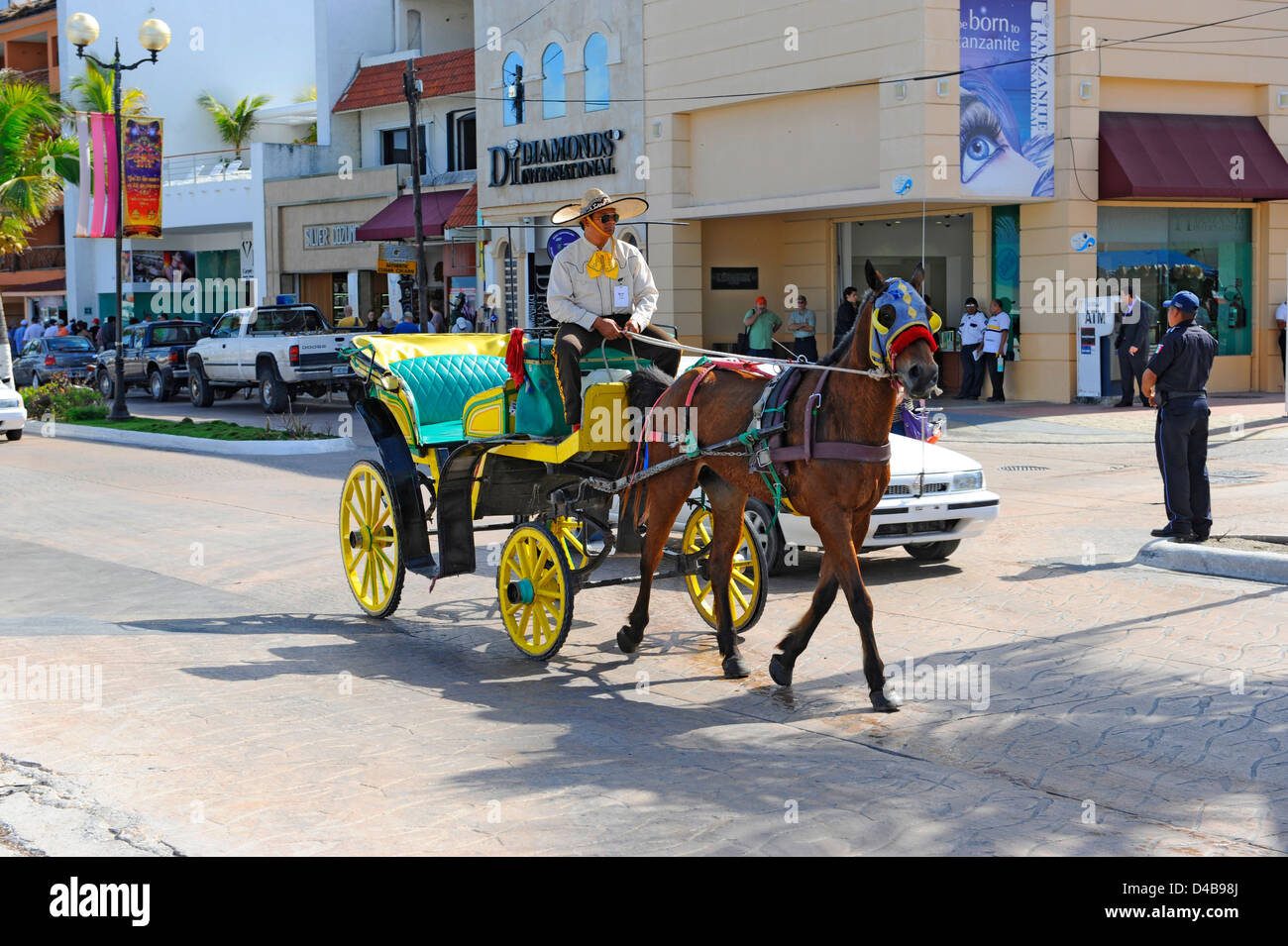 Dock horses hires stock photography and images Alamy