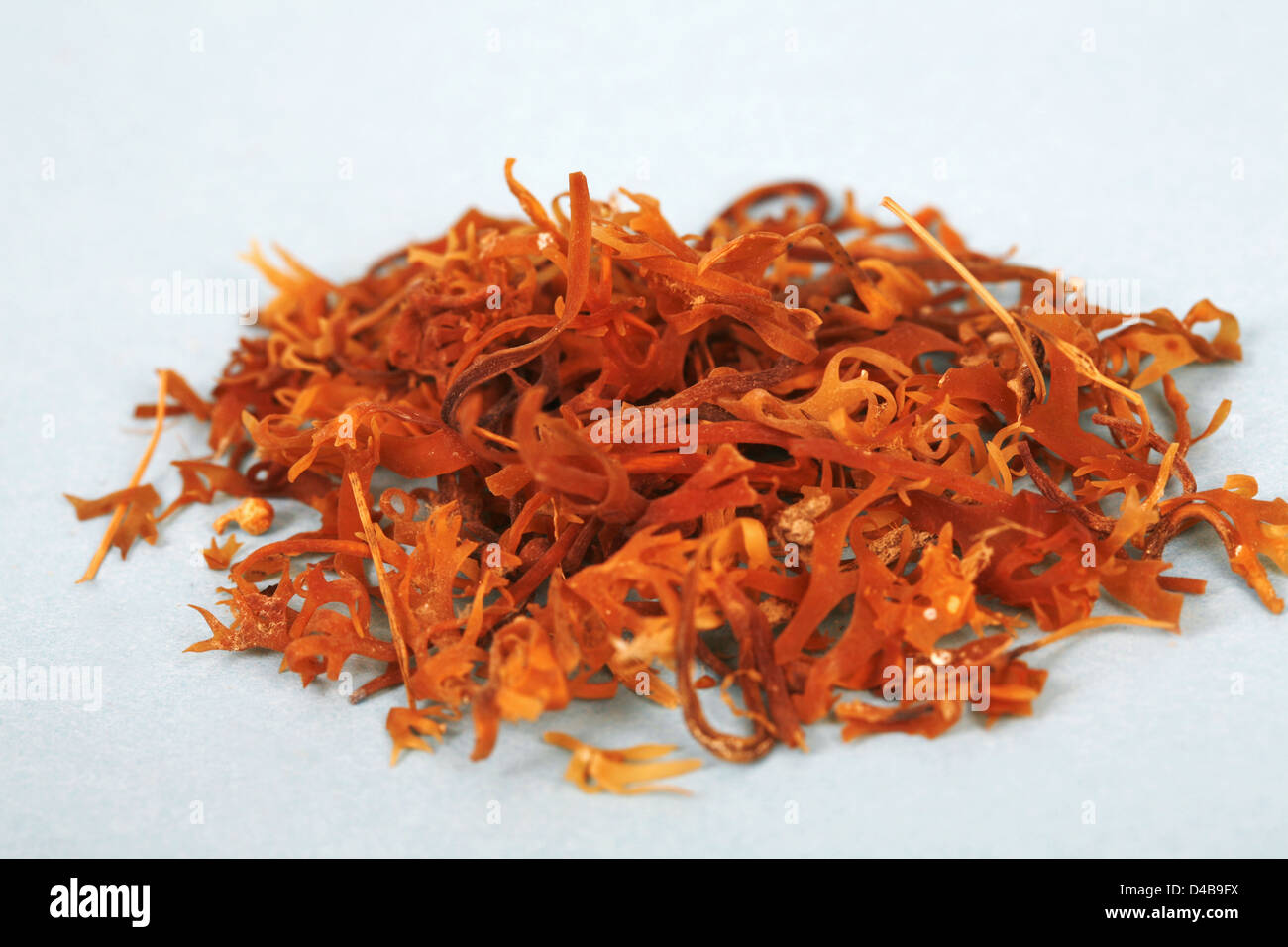 Chondus Herb demulcent used relieve minor pain inflammation mucus