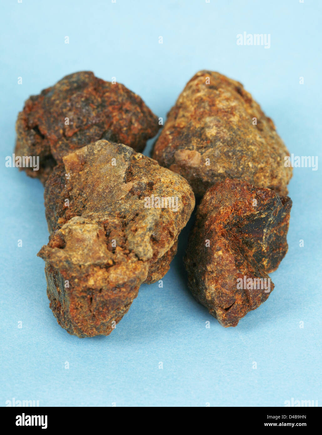 Myrrh dried sap tree Commiphora myrrha native Somalia eastern Ethiopia According Chinese medicine experts it can affect heart Stock Photo