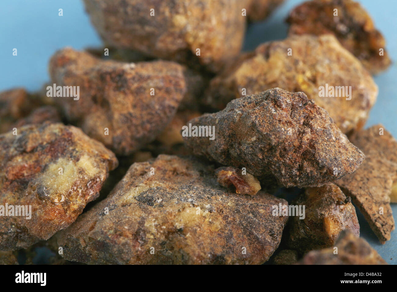 Benzoin Sumatra probably better known as Friars Balsam has two main uses as treatment damaged