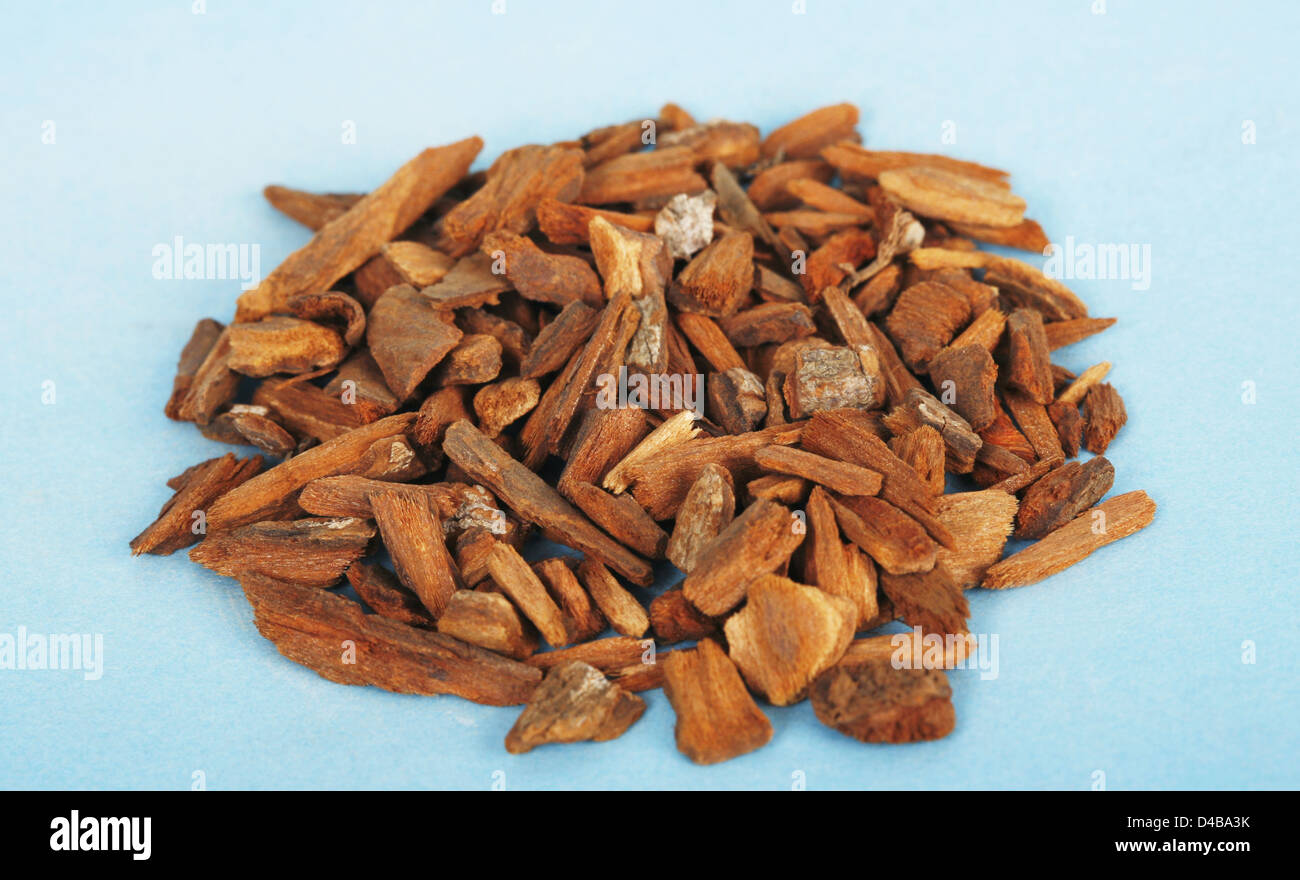 Cinchona bark includes alkaloids which are closely related to quinine