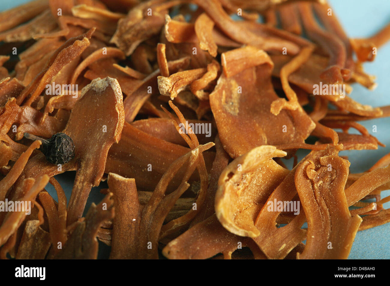 Mace better known as nutmeg yields oil used treat stress pain menstrual