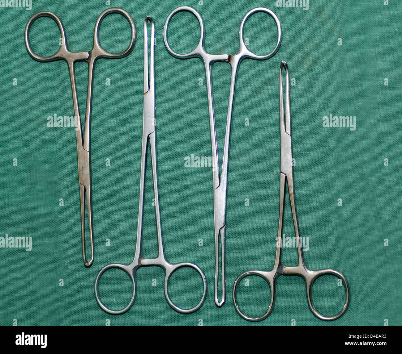 Allis tissue forceps are designed for grasping fascia and tendons Stock Photo