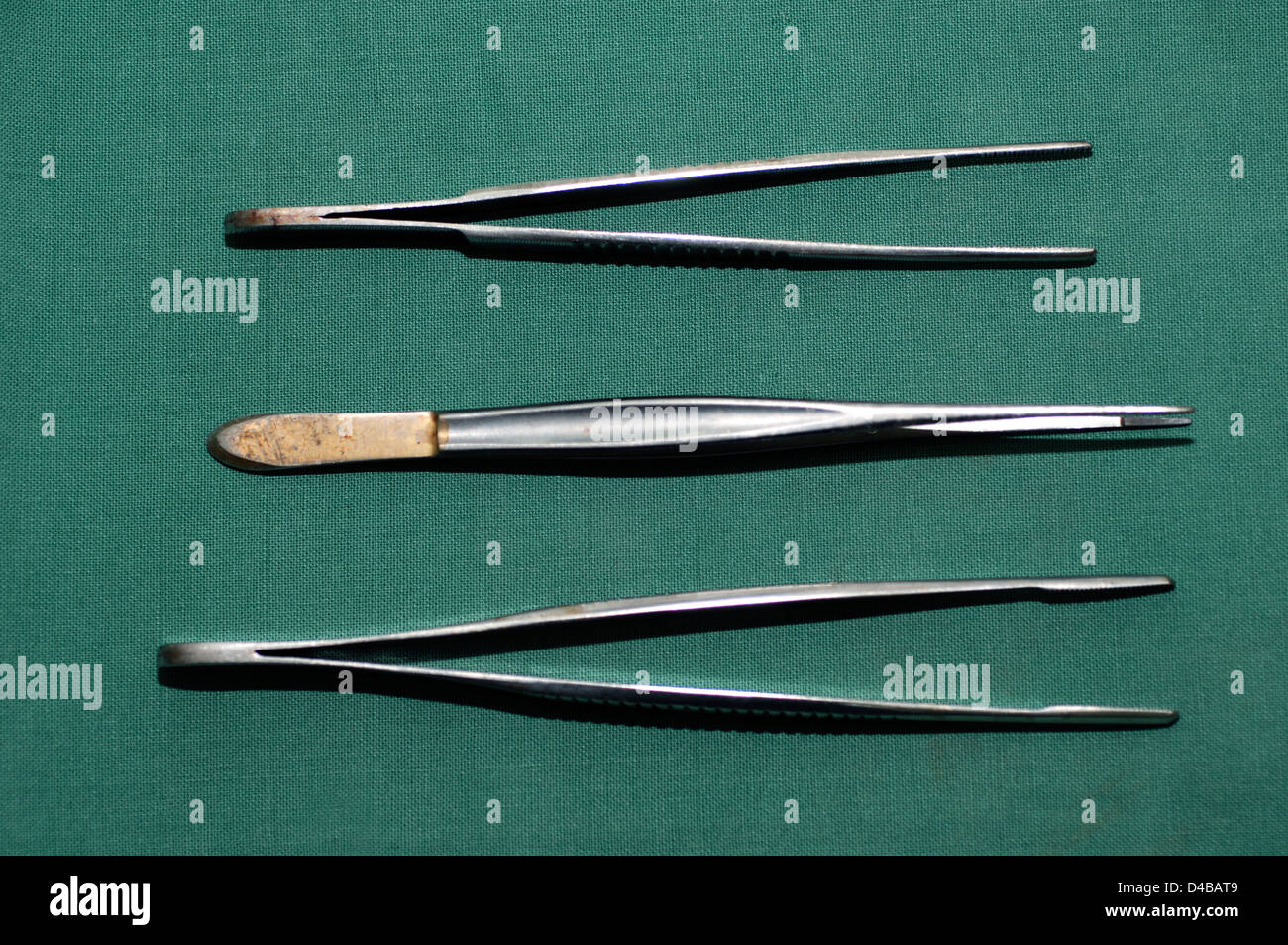 Dissecting Forceps High Resolution Stock Photography and Images Alamy