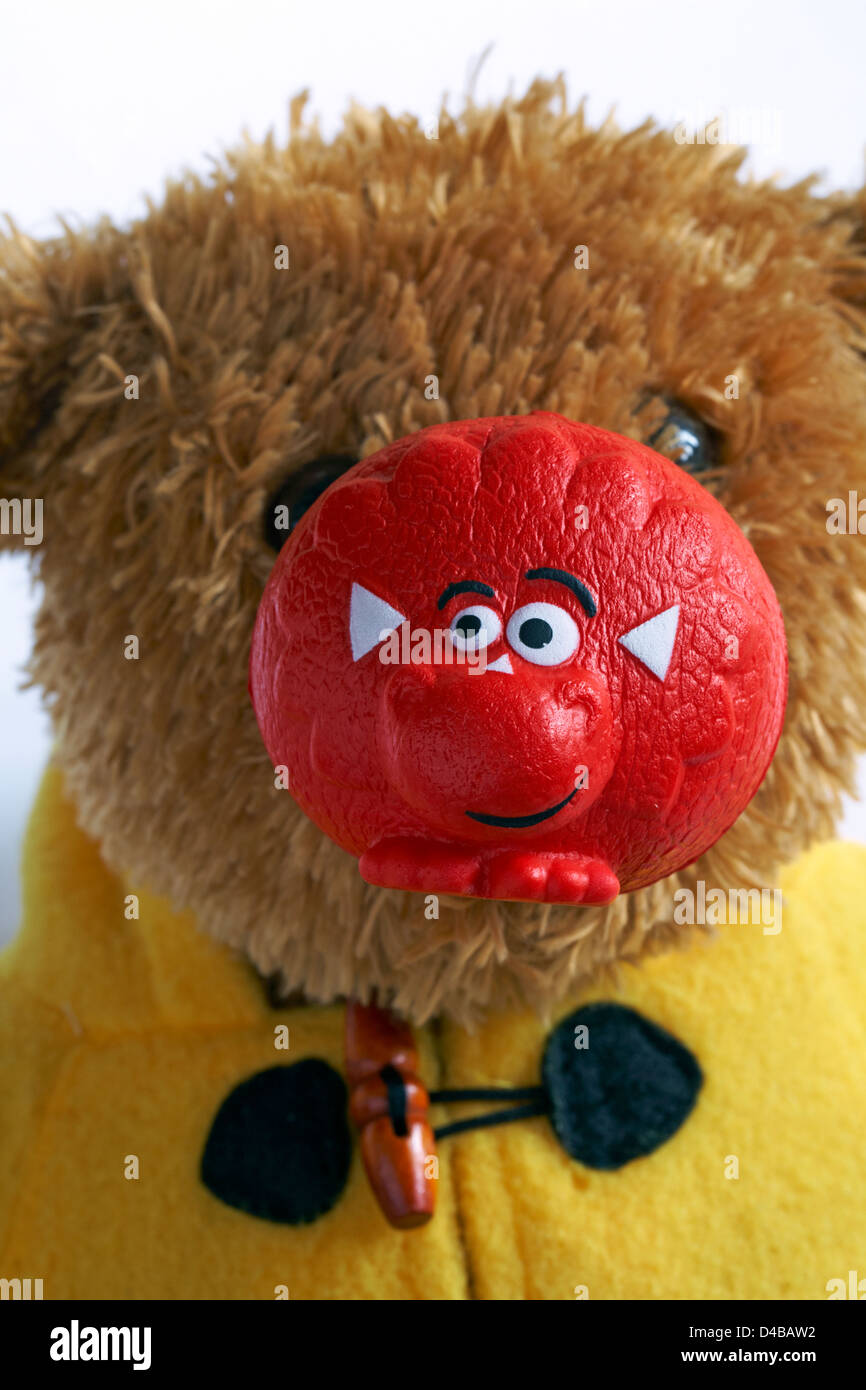 Teddy bear wearing red nose for Comic Relief for Red Nose Day set against white background Stock Photo