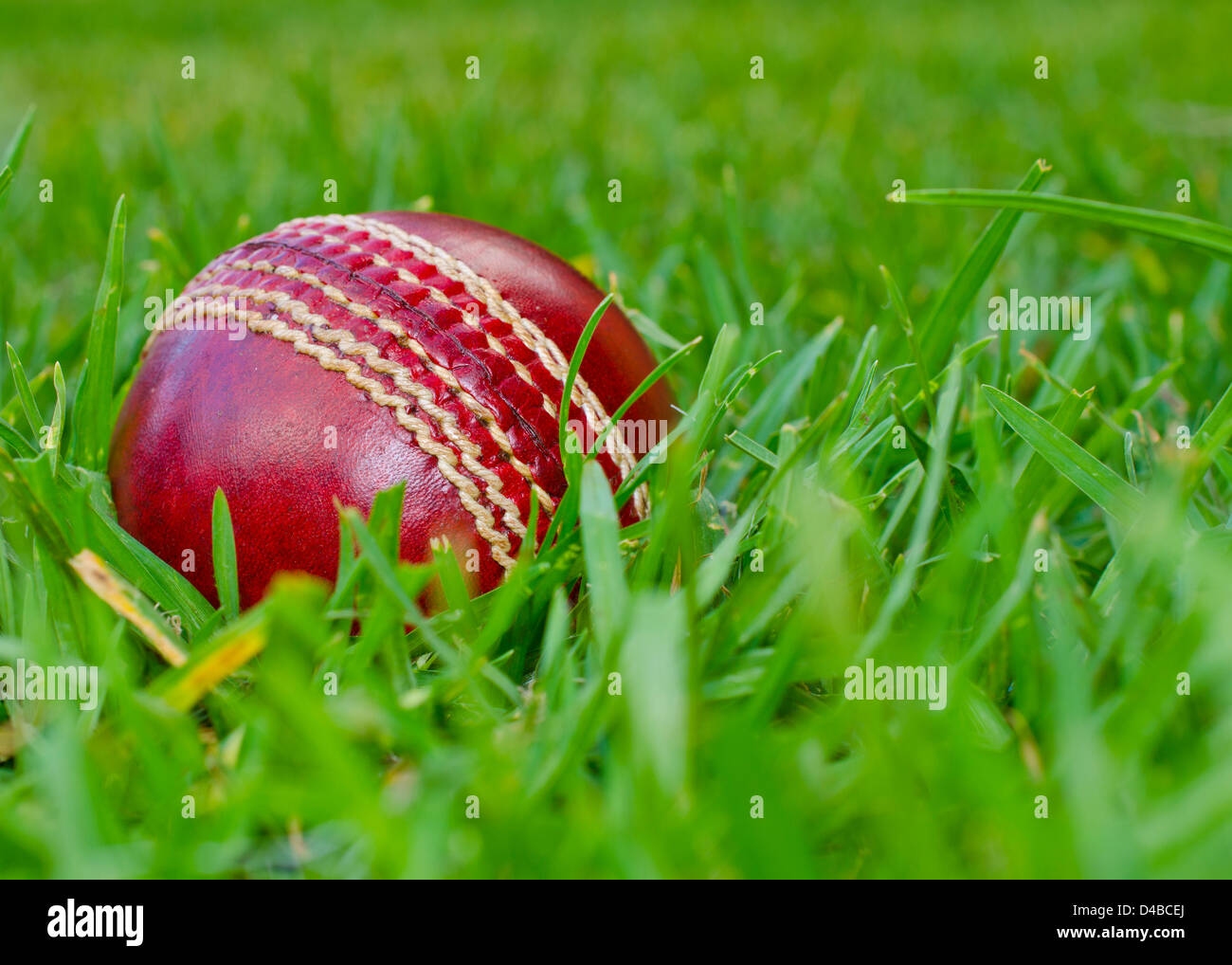 A red cricket ball laying in green grass Stock Photo