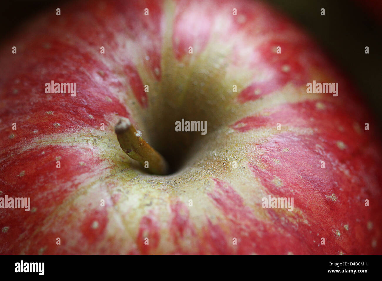 Apple brown spots hires stock photography and images Alamy