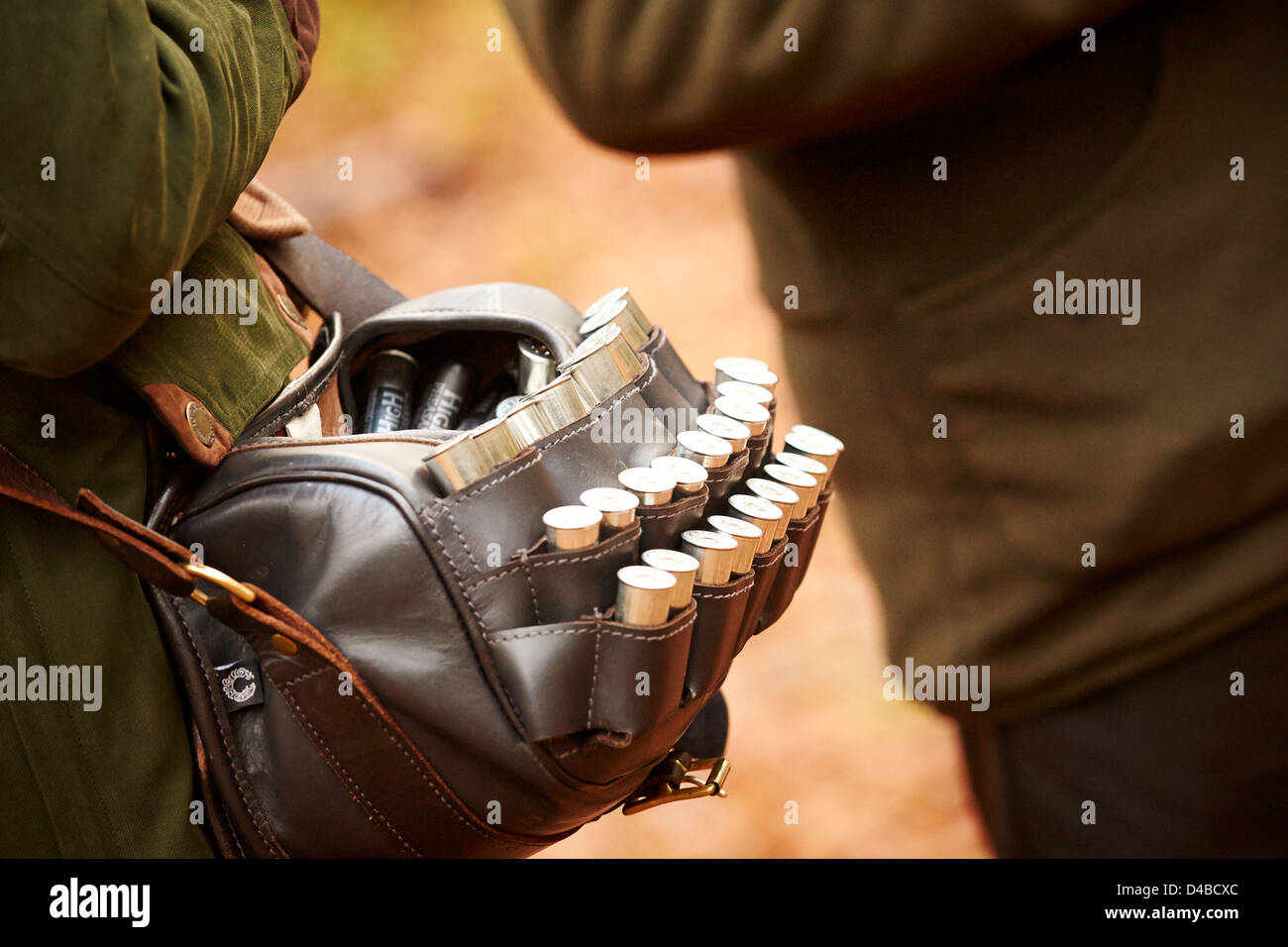 12 bore shotgun cartridges in a leather bag Stock Photo