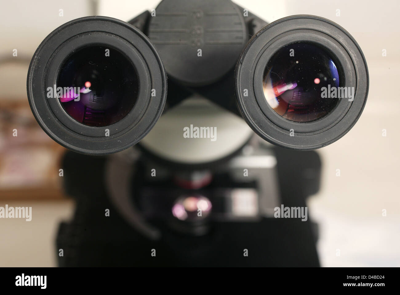 Microscope viewing lens Stock Photo Alamy