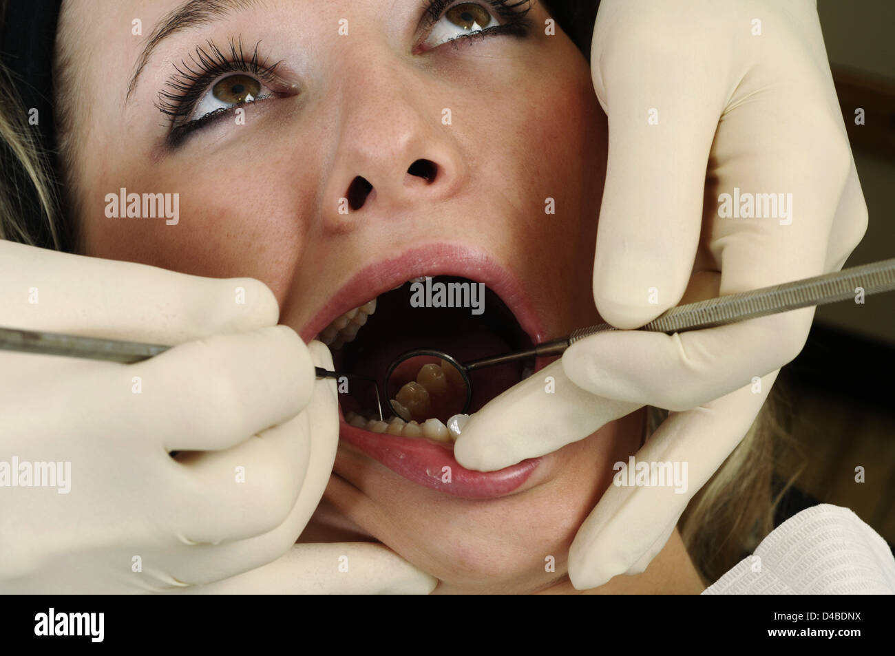 Dentist giving women soft tissue dental examination Stock Photo Alamy
