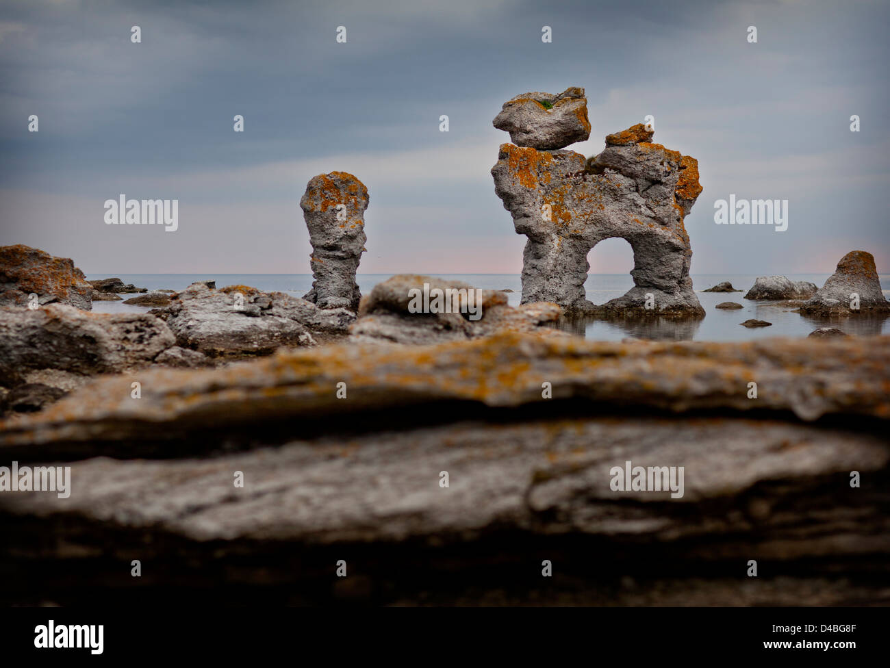 Limestone gamle hamn fårö gotland hi-res stock photography and images -  Alamy