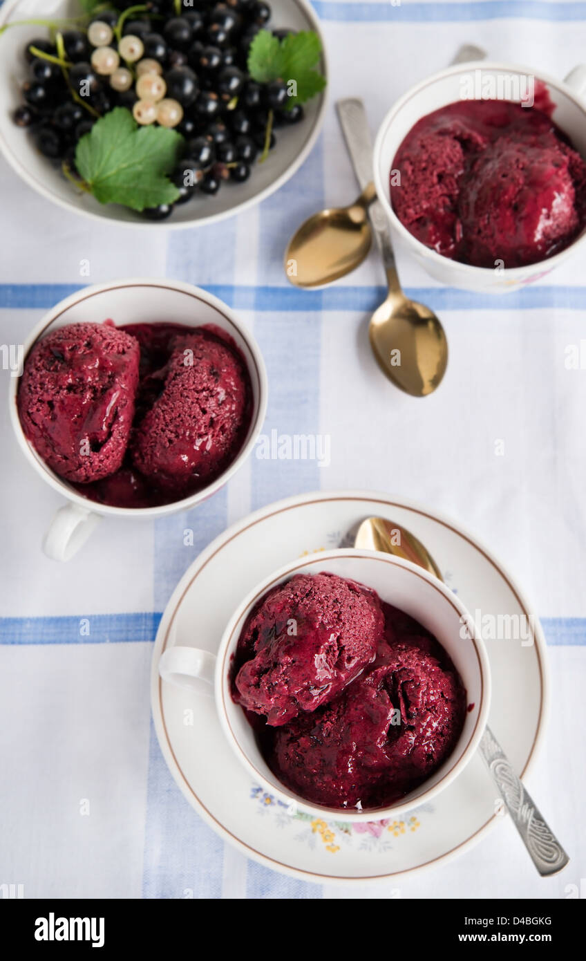 Homemade cold berry gelato (ice cream) in tea cups Stock Photo