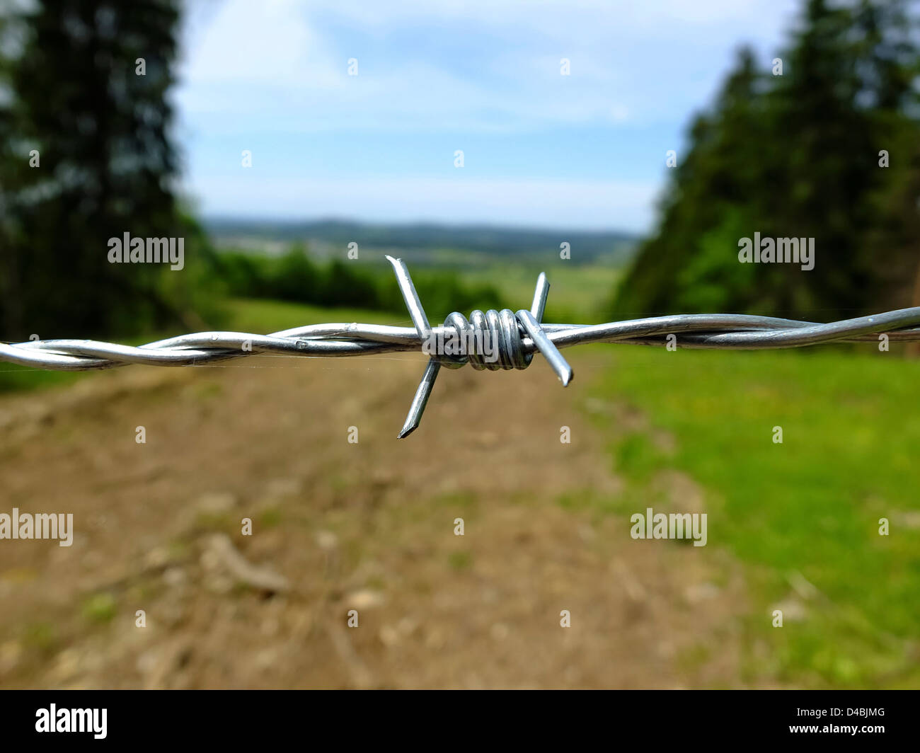 barbed wire close-up Stock Photo