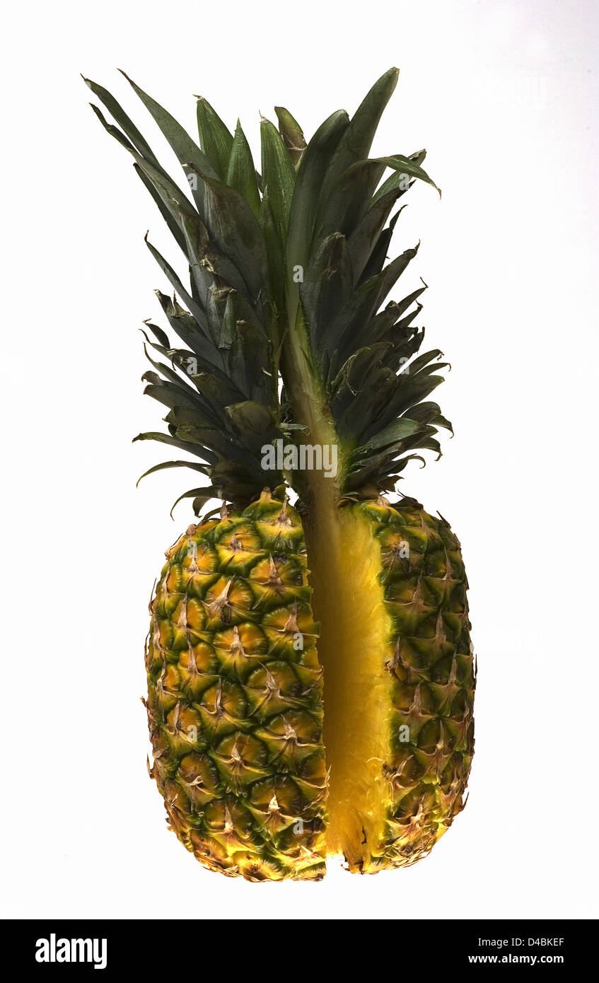 Pineapple contains proteolytic enzyme bromelain breaks down protein