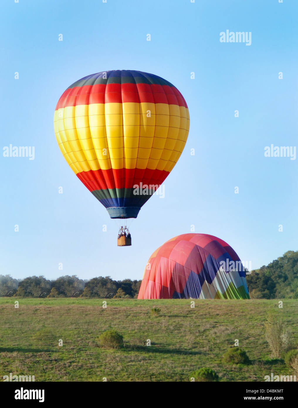 Hot air balloons landing in green hills with trees Stock Photo