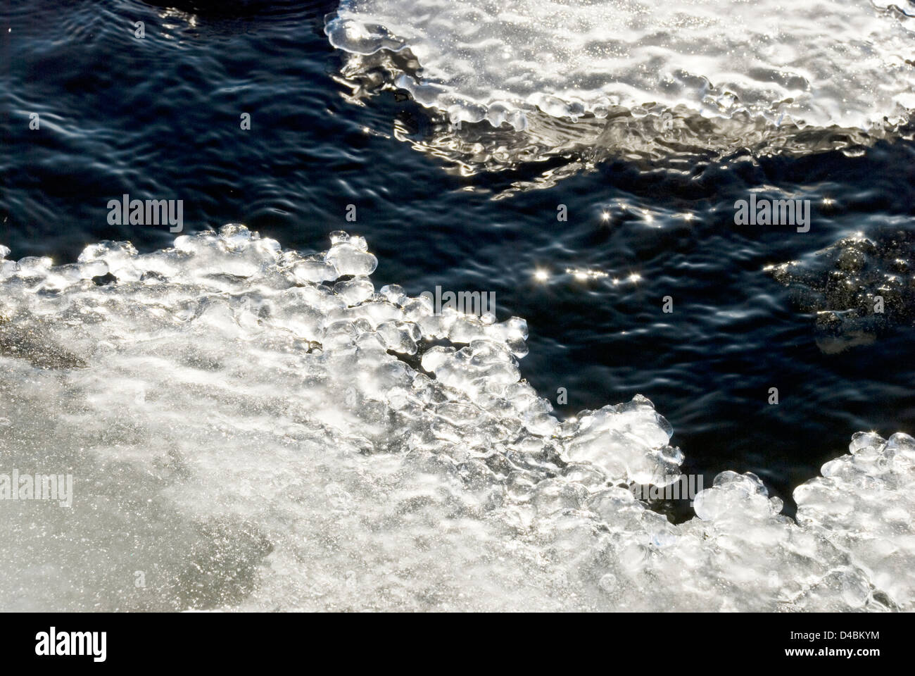 Melting ice in water at Springtime Stock Photo Alamy