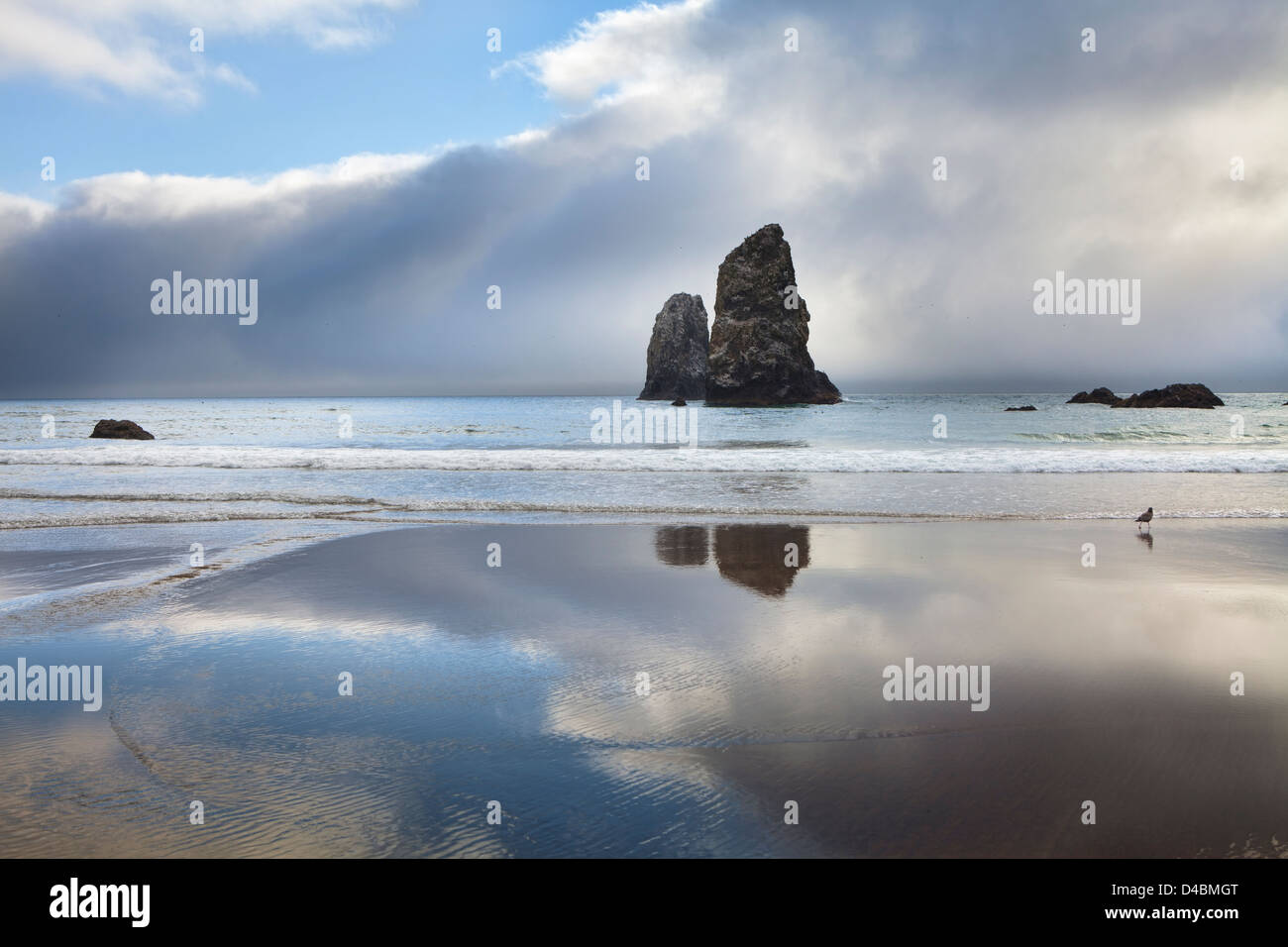 Obogon Rocks Formation Color Rock formation in dramatic light, Cannon Beach, Oregon, USA Stock Photo ...
