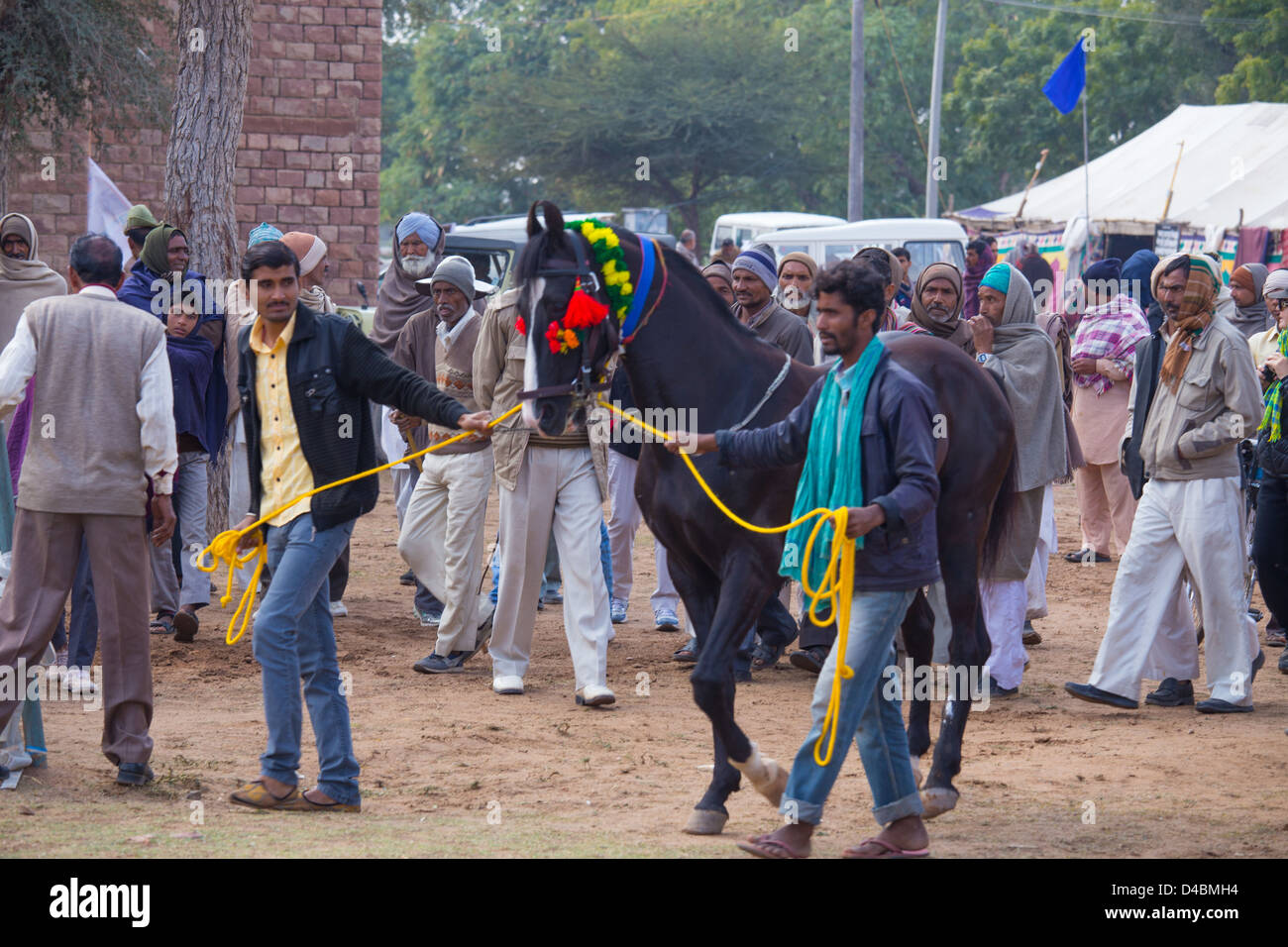 Rajasthan india horse hires stock photography and images Alamy