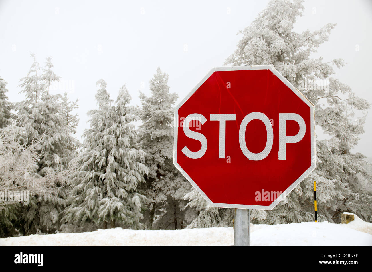 новогодний колпак. включи новый год стоп. последний стоп новогодний. успей заказать к новому году. новогодний стоп.