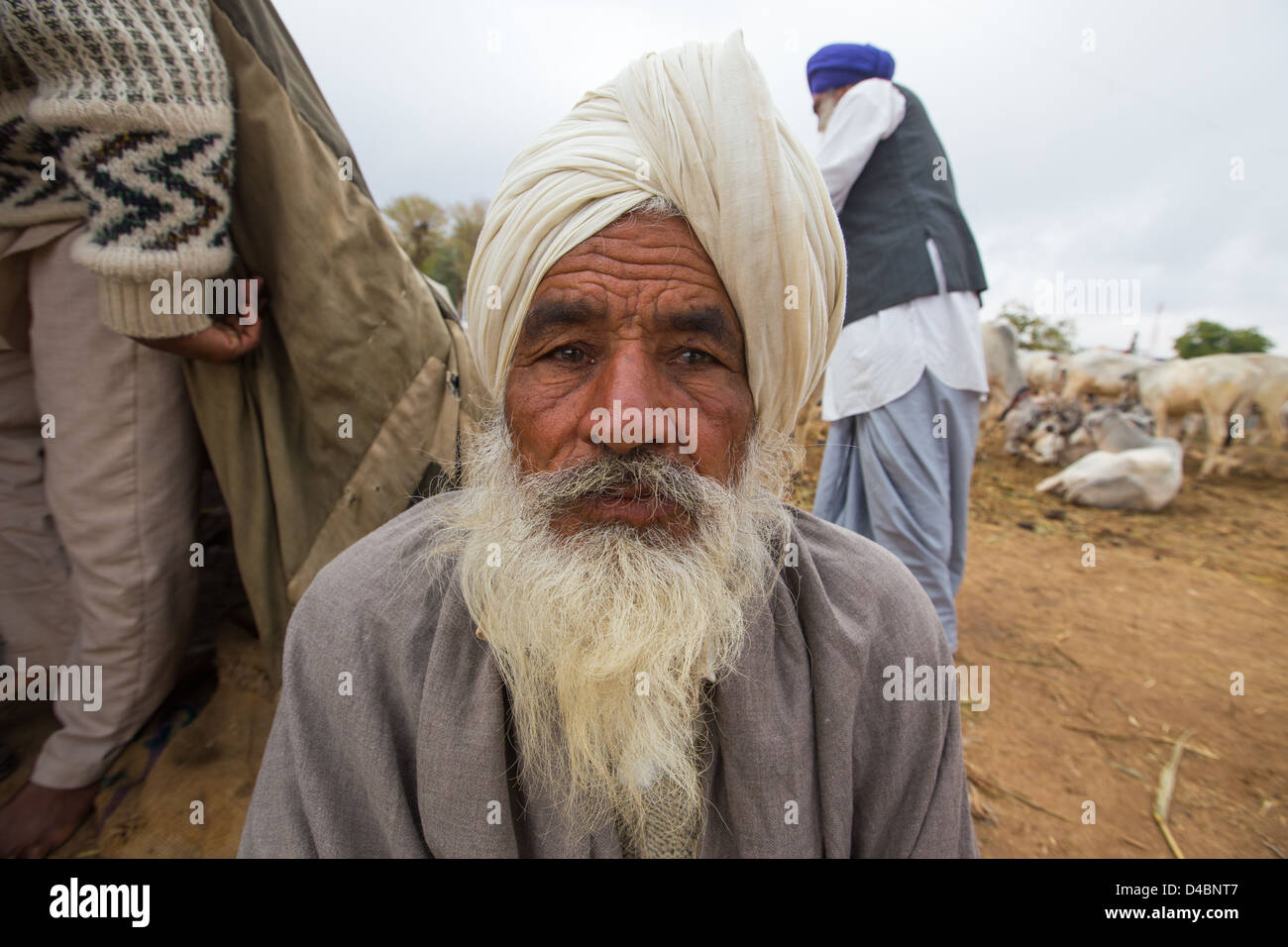 Rajput man, Nagaur Cattle Fair, Nagaur, Rajasthan, India Stock Photo ...