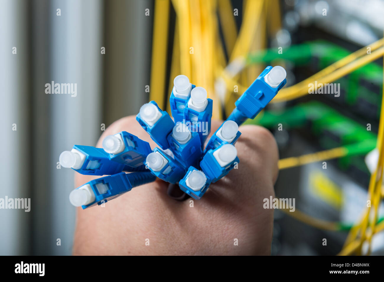 hand of administrator holding bunch of optic fiber cables with connectors Stock Photo