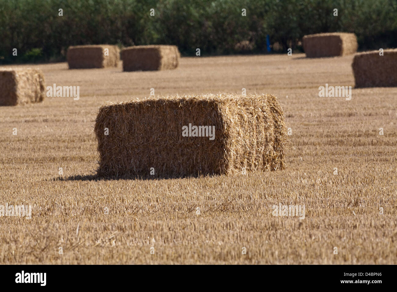 Straw bales collection hires stock photography and images Alamy