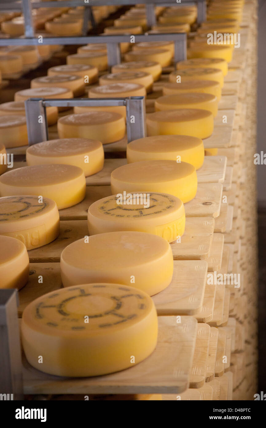 Appenzell, Switzerland, cheese storage of Appenzeller cheese in a Schaukaeserei Stock Photo