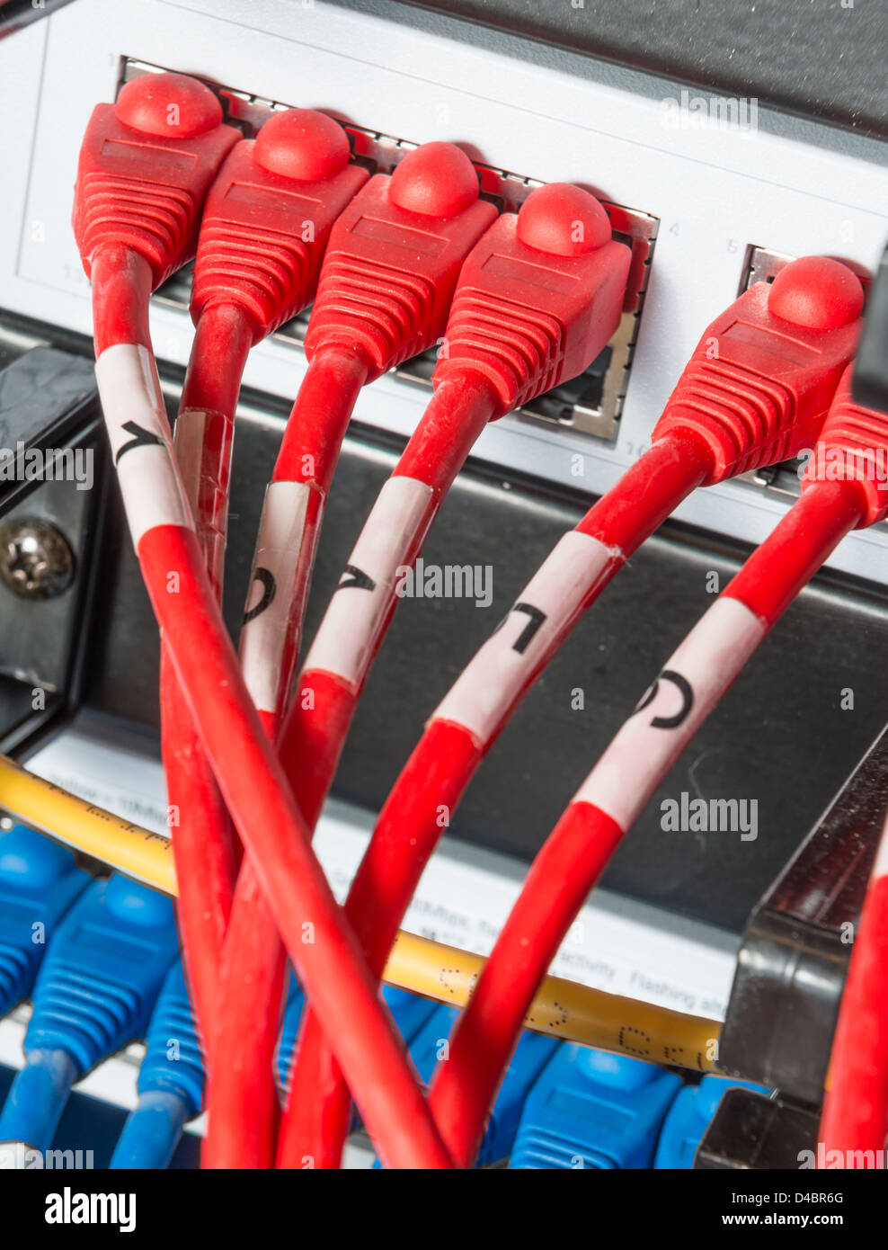closeup of network hub and cables Stock Photo Alamy