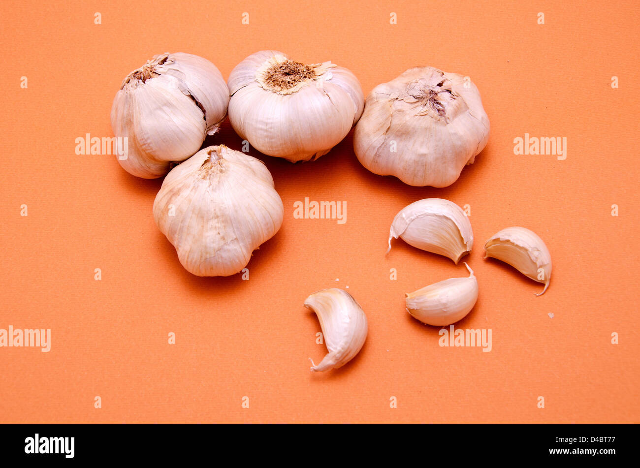 garlic Stock Photo